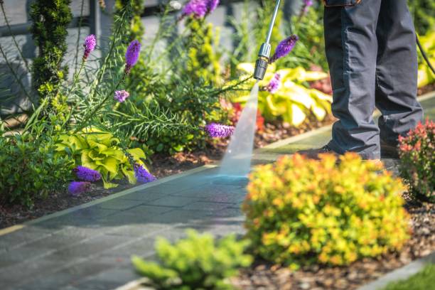 Best Restaurant Pressure Washing  in East Whittier, CA